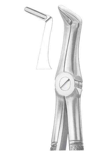 Fig. 49 upper roots 